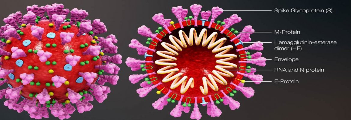 Jak snížit riziko nakažení koronavirem